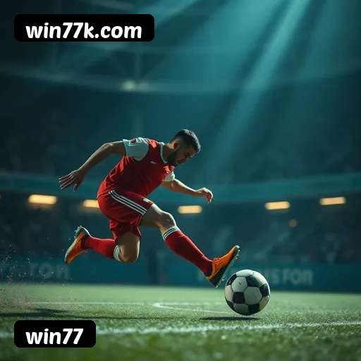 Níveis do programa VIP da win77